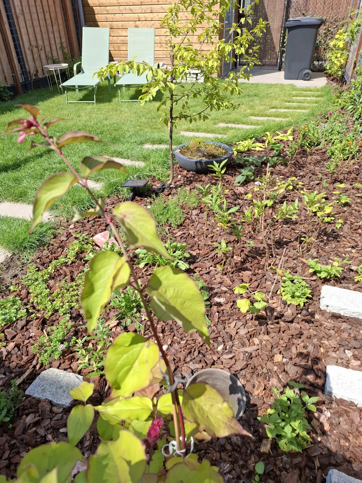 Beplantingsplan voor nieuwe tuin in Vlijmen