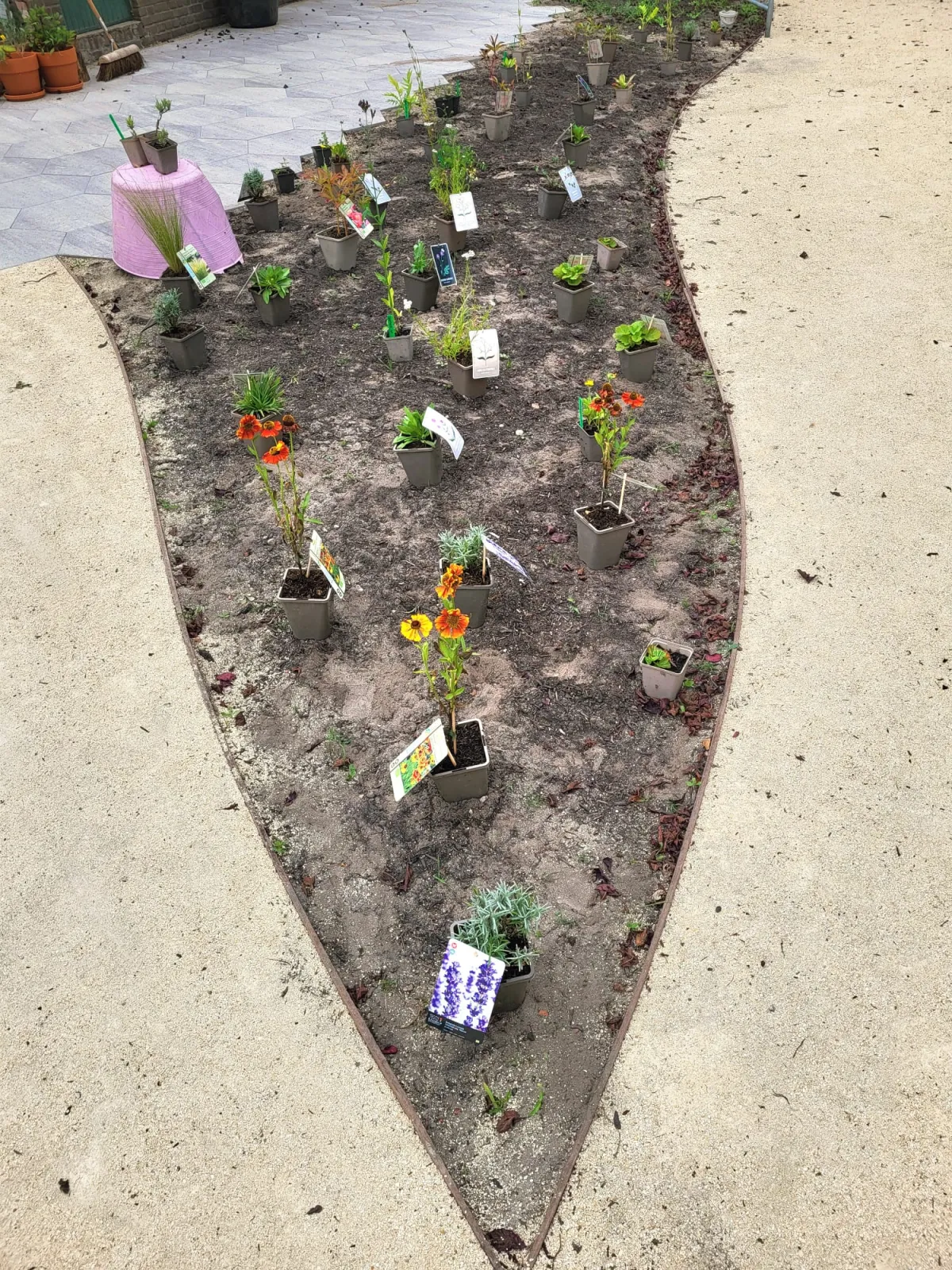 Gezonde planten voor een bosboerderij in Drunen